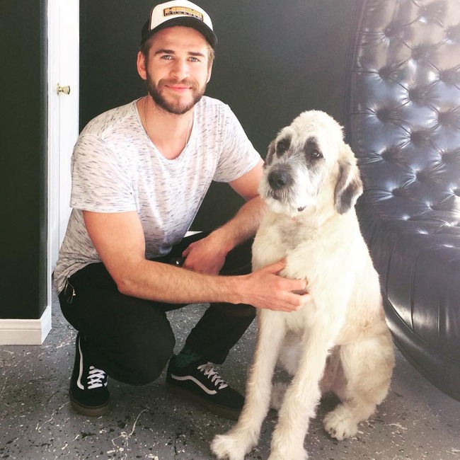 Liam Hemsworth, Dog